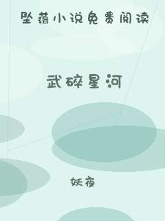 武碎星河